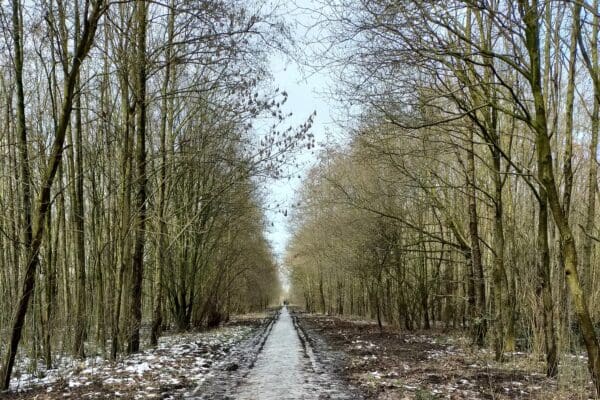 Redactievergadering Op Weg