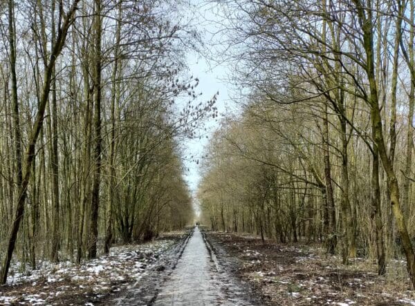 Redactievergadering Op Weg